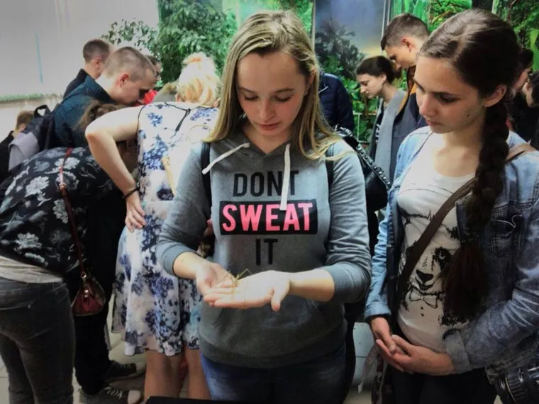 alt-text