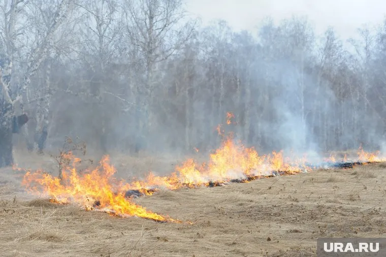В Челябинской области начинается самая активная фаза лесных пожаров