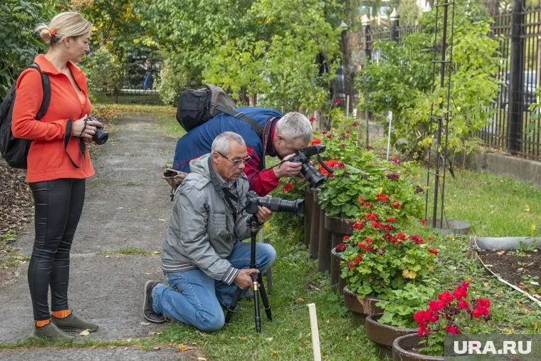В ботаническом саду ПГНИУ много редких растений