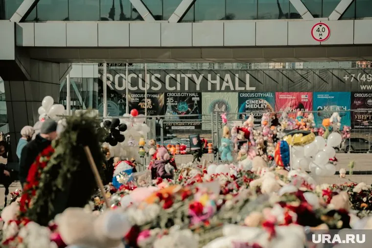 Из-за теракта в «Крокусе» погибли 144 человека