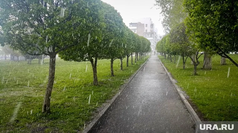 Причиной погодных аномалий может быть глобальное потепление, считает Николай Терешонок