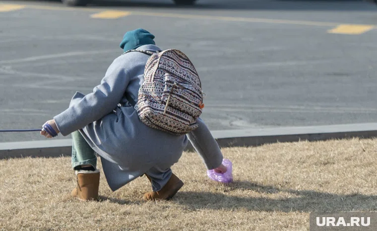 Тюменцы хотят, чтобы хоббидогеры убирали за реальными собаками