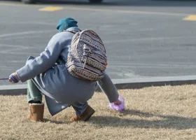 Фотография из галереи