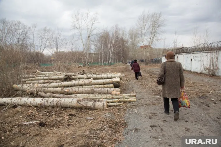 Зеленый уголок в Тюмени вырублен