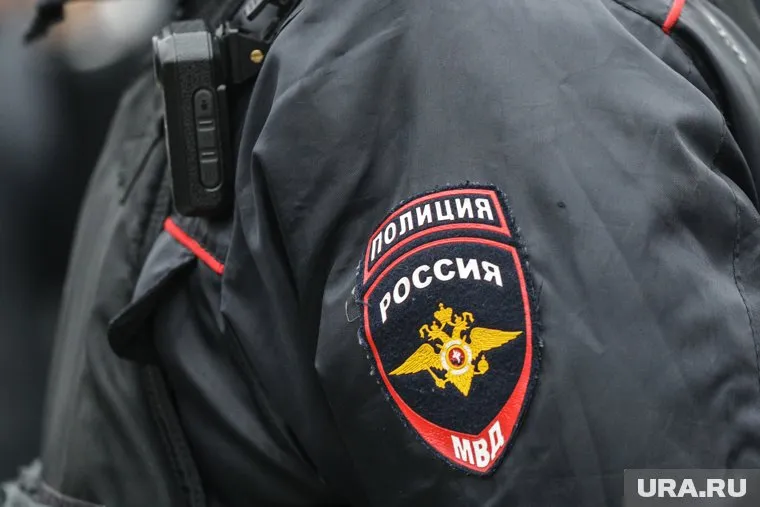 Полиция обнаружила тело в зарослях крапивы на трассе Екатеринбург — Серов