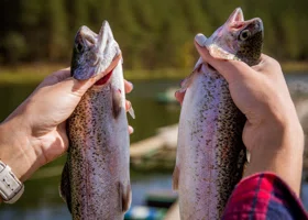 Рай для любителей рыбы выставили на продажу в пригороде Челябинска