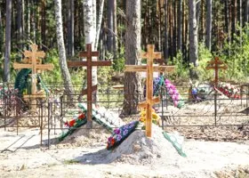 Фотография из галереи