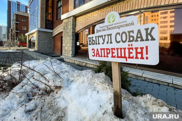 По словам директора УК, обыски прошли из-за заявления фирм, аффилированных с Олегом Колесниковым