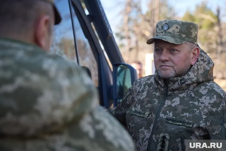 Валерия Залужного уволили со своего поста