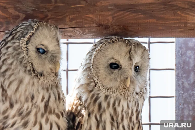 Кассы будут прекращать работу за час до закрытия зоопарка