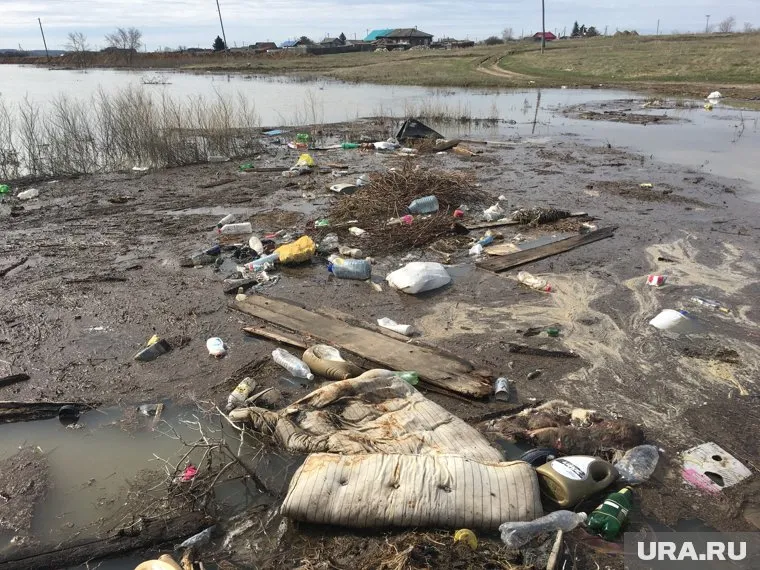 Журналисты доказали, что вода подтопила свалку с мусором и трупами