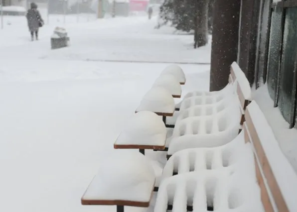 Фотография из галереи