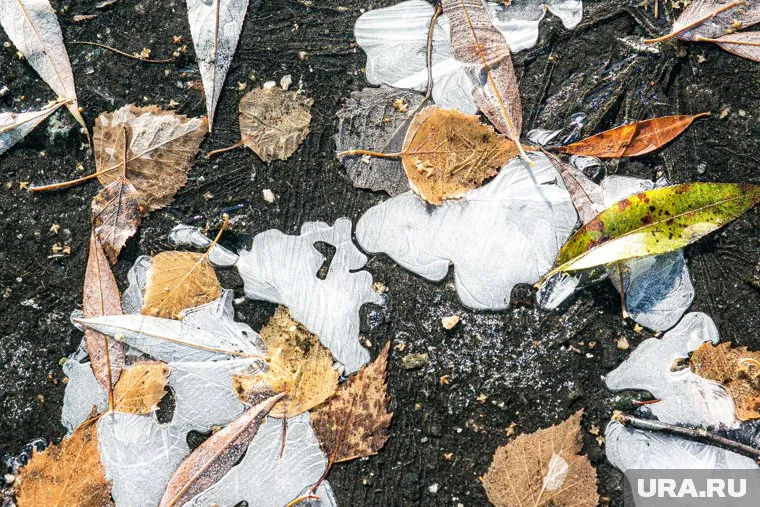 Местами в регионе 12 октября температура воздуха будет минусовой