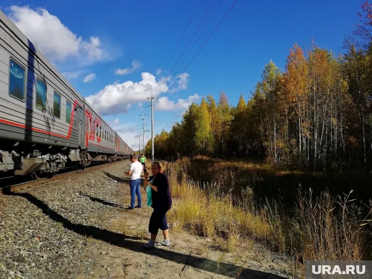 14 составов простояли в югорских лесах более 8 часов из-за ремонта железнодорожных путей