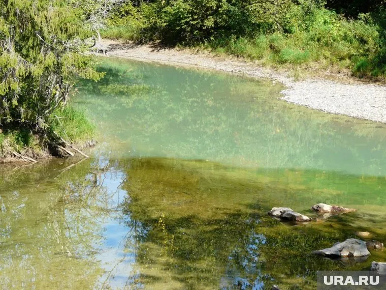 Представители надзорного ведомства выехали на место загрязнения водоема
