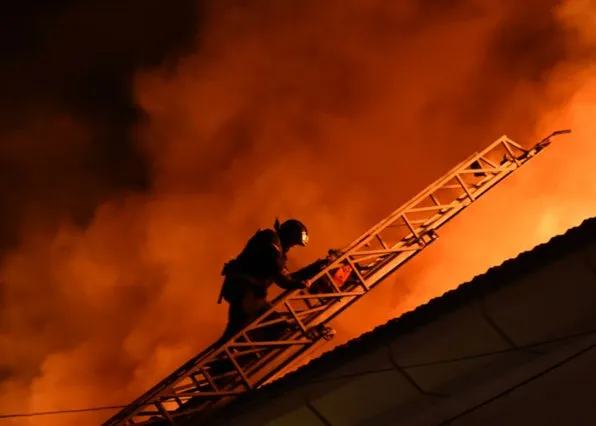 Фотография из галереи