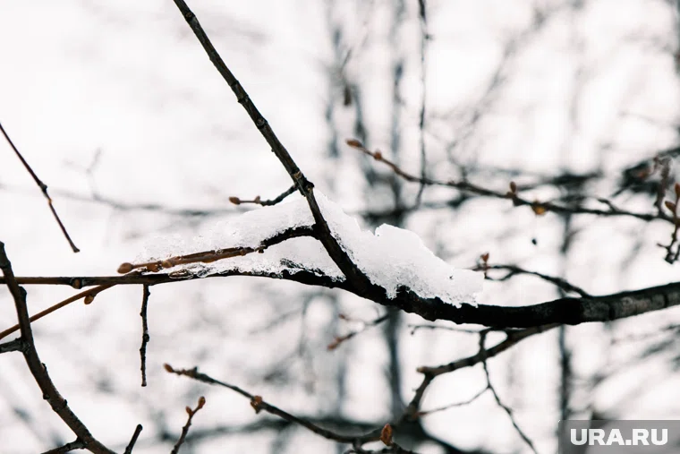 Первый снег в Свердловской области выпал еще в сентябре