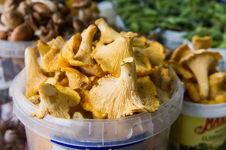 Клипарт. Екатеринбург