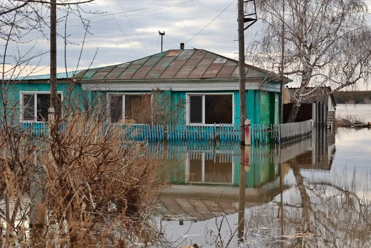Звериноголовское. Курган