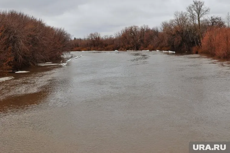 Дамбу прорвало возле деревни Передергина (архивное фото)