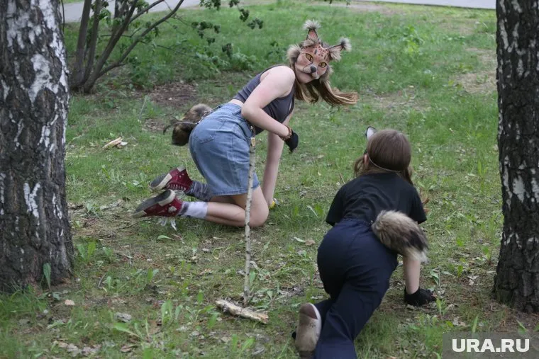 В России отмечается резкий рост случаев «квадробинга», заявил депутат Колунов