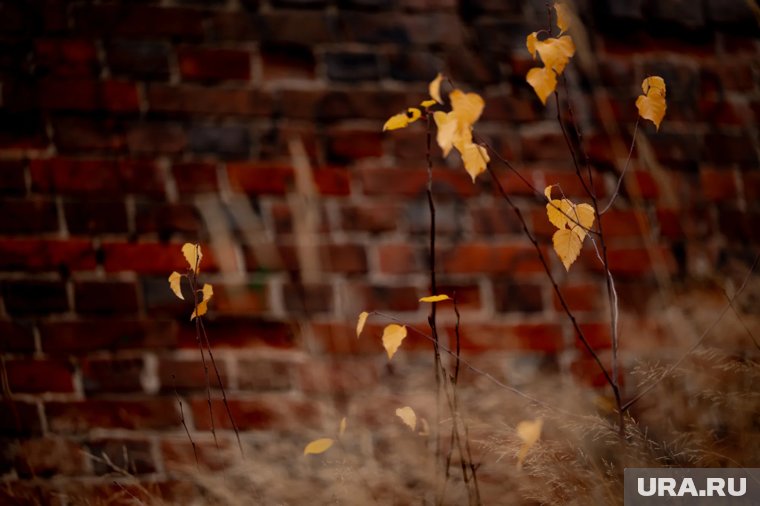 Народные приметы ноября: что категорически нельзя делать перед зимой 2025