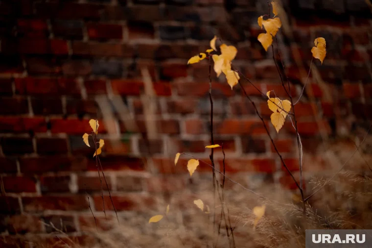 Ноябрь в народных приметах считался месяцем установления зимы и подготовки к ней, а также предвестником урожая