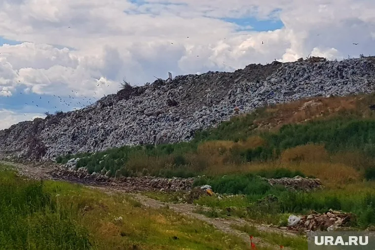 Чиновники не знают о захоронении ядохимикатов на полигоне