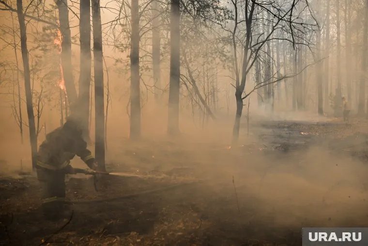 В ЯНАО и Тюменской области 100% лесных пожаров тушились в первые же сутки