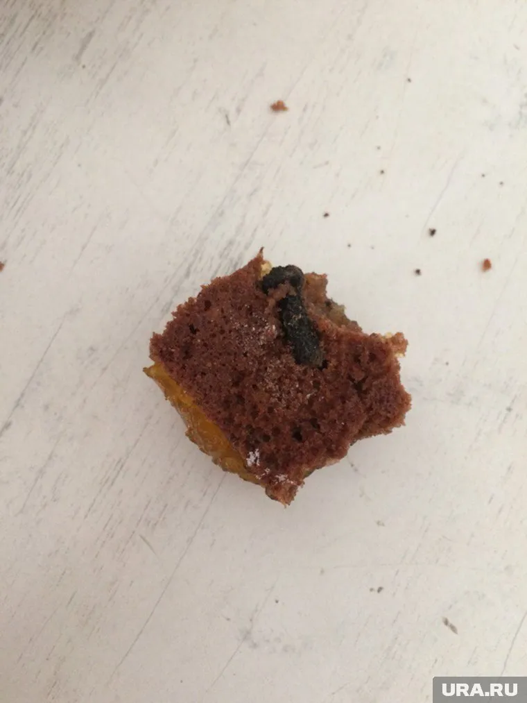 Школьники уверяют, что не впервые пробуют пирожные с металлической начинкой