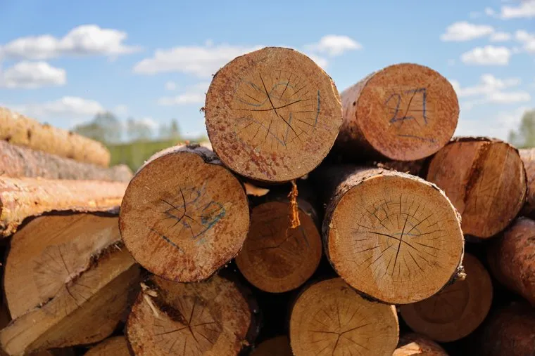 Съемки сольного клипа Марата Чанышева, солиста группы «ПМ» на аэродроме «Грань». Нижний Тагил