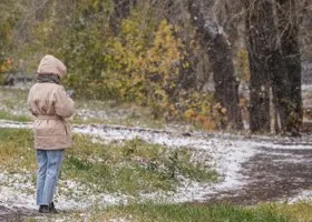 «Стала оглядываться»: жертва помощника митрополита Кульберга боится за свою жизнь