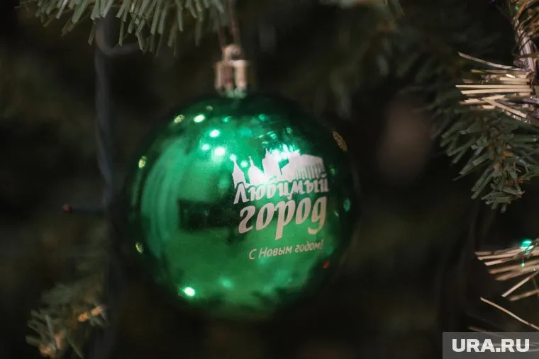 Курганские чиновники и бизнесмены стали участниками «Елки губернатора»