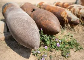 Курганские росгвардейцы выехали к месту обнаружения боеприпасов