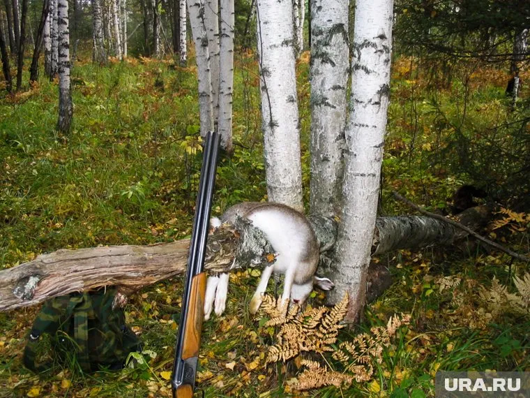 Браконьерами оказались местные жители