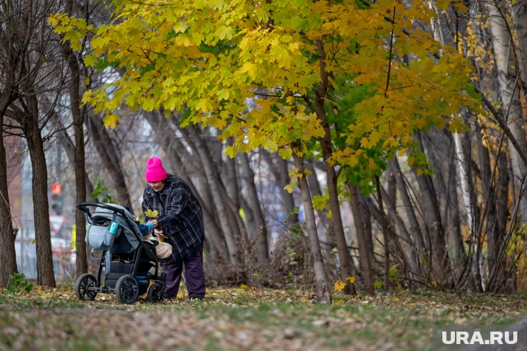 На основе МРОТ рассчитываются пособия по временной нетрудоспособности, беременности и родам, уходу за ребёнком до 1,5 лет
