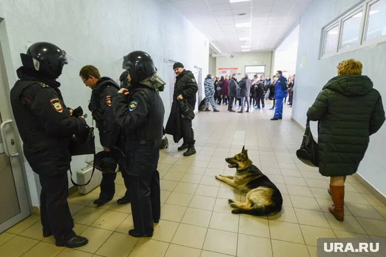 Поводом стали сообщения о минировании учебных заведений (фото из архива)