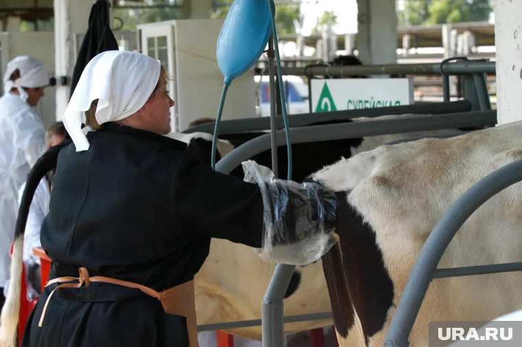 Ветеринары и зоотехники за год стали зарабатывать заметно больше