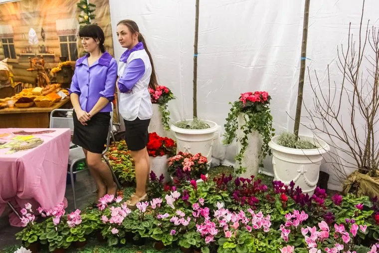 Выставка "Золотая осень-2014". Тюмень