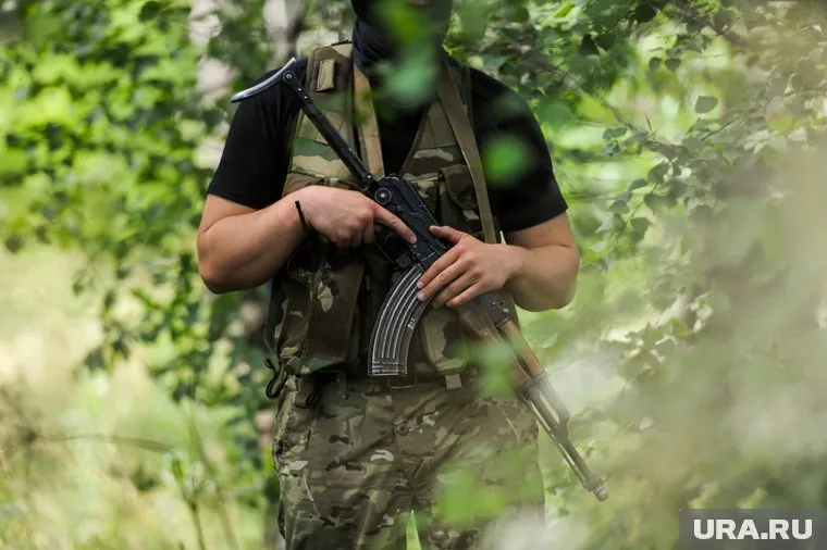 Российские военные ликвидировали украинскую ДРГ в Курской области