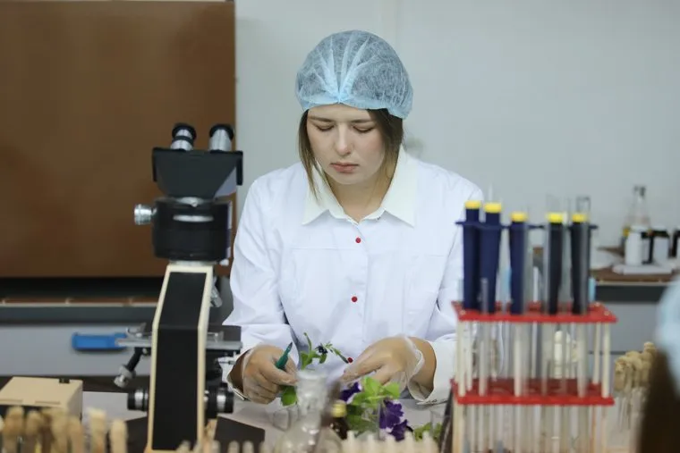 КГСХА. Агрономический факультет. Микроклональное размножение картофеля. Курган