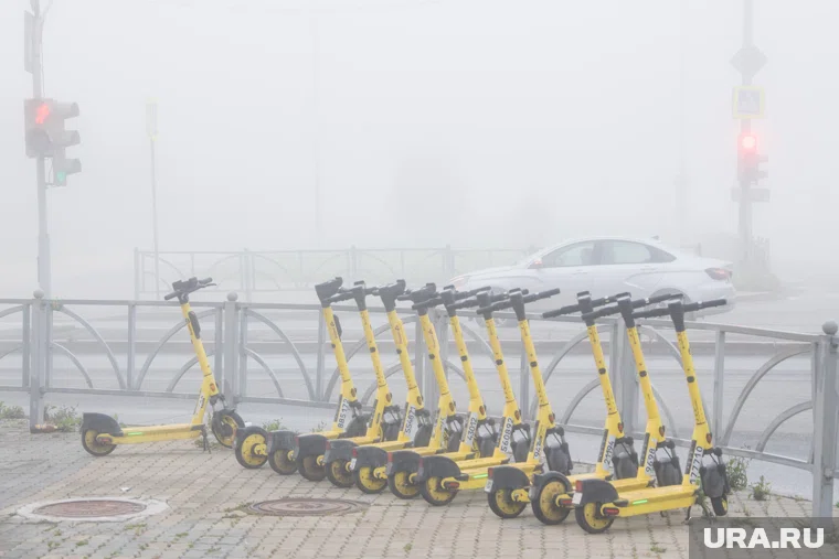 Шило призвал регионы создать условия для безопасного использования электросамокатов