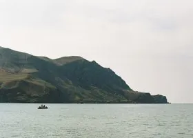 Гутерриш направил Путину и Зеленскому письма по судоходству в Черном море