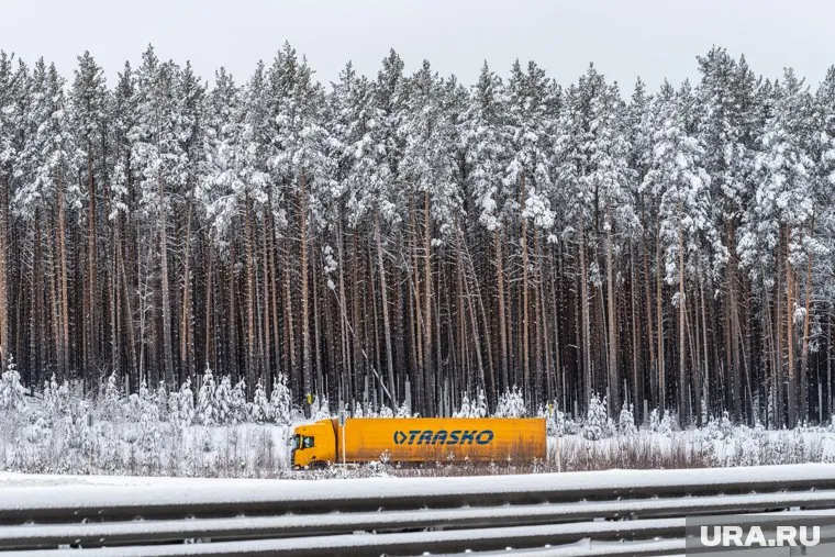 Дальнобойщики пожаловались на сложности с китайской визой