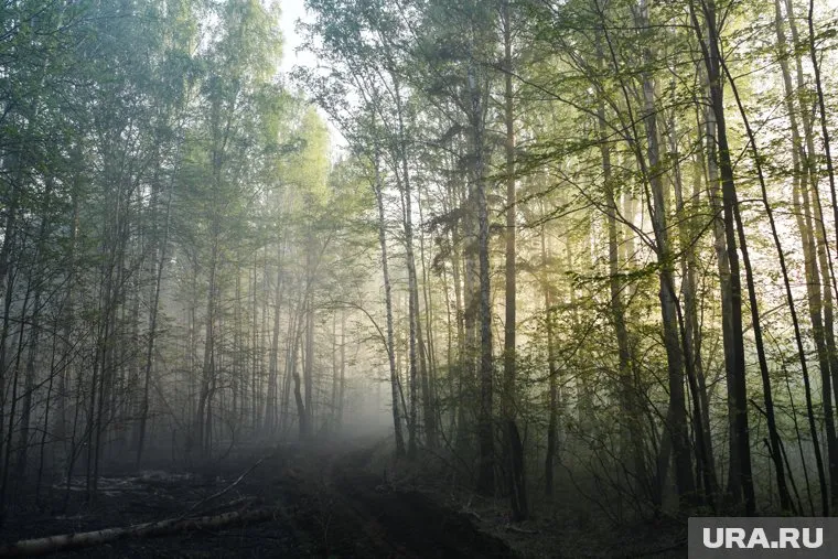 Мужчина издевался над девушкой в Екатеринбурге (архивное фото)