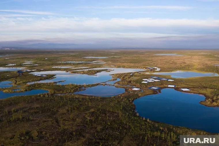 На смену спасателям прибыли экологи, которые восстановят природу в зоне ЧС
