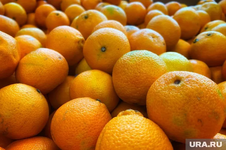 Мандарины вернули в Казахстан из-за неверной документации