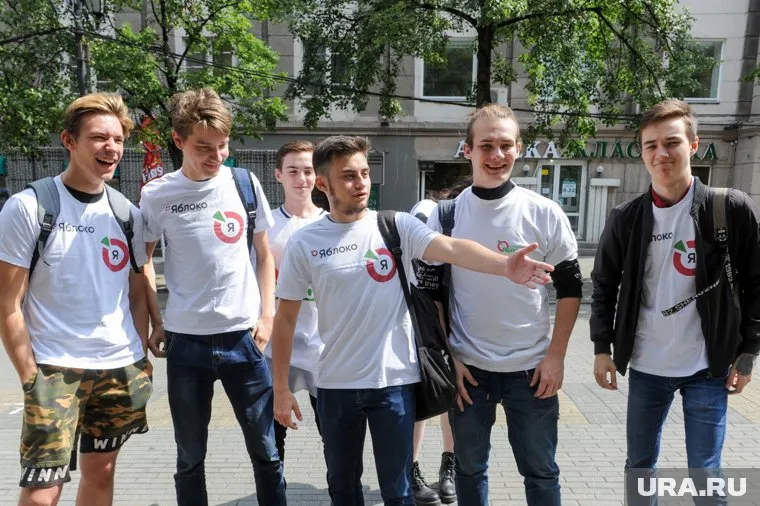 Представили челябинского «Яблока» собирают подписи под жалобой в ЦИК РФ