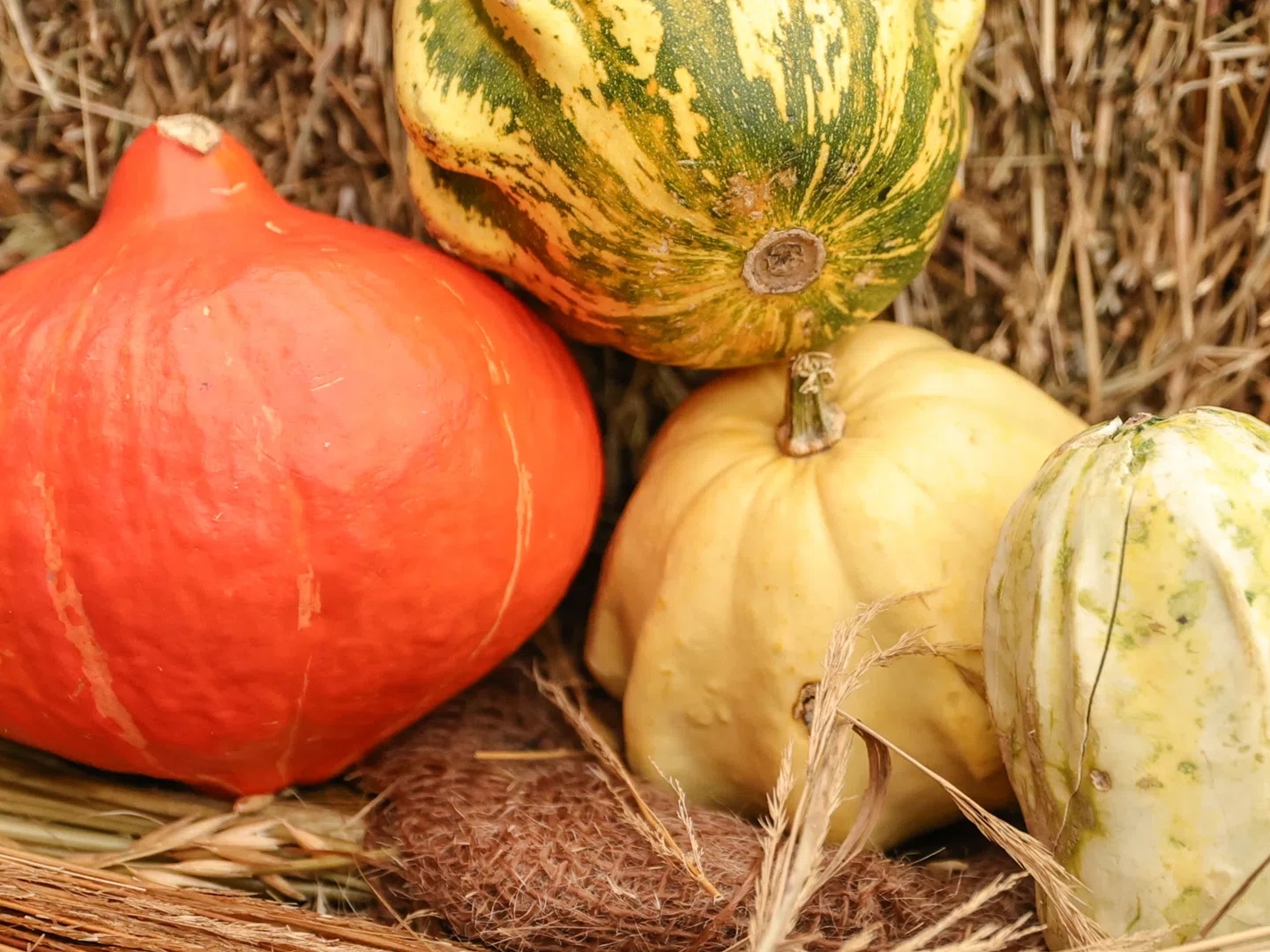 Екатеринбургтегі барлық жетілген жезөкшелер Екатеринбургтегі барлық жетілген жезөкшелер