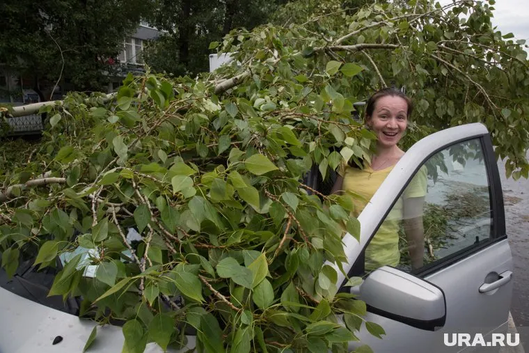 Ночной ураган принес в регион разрушения (архив)